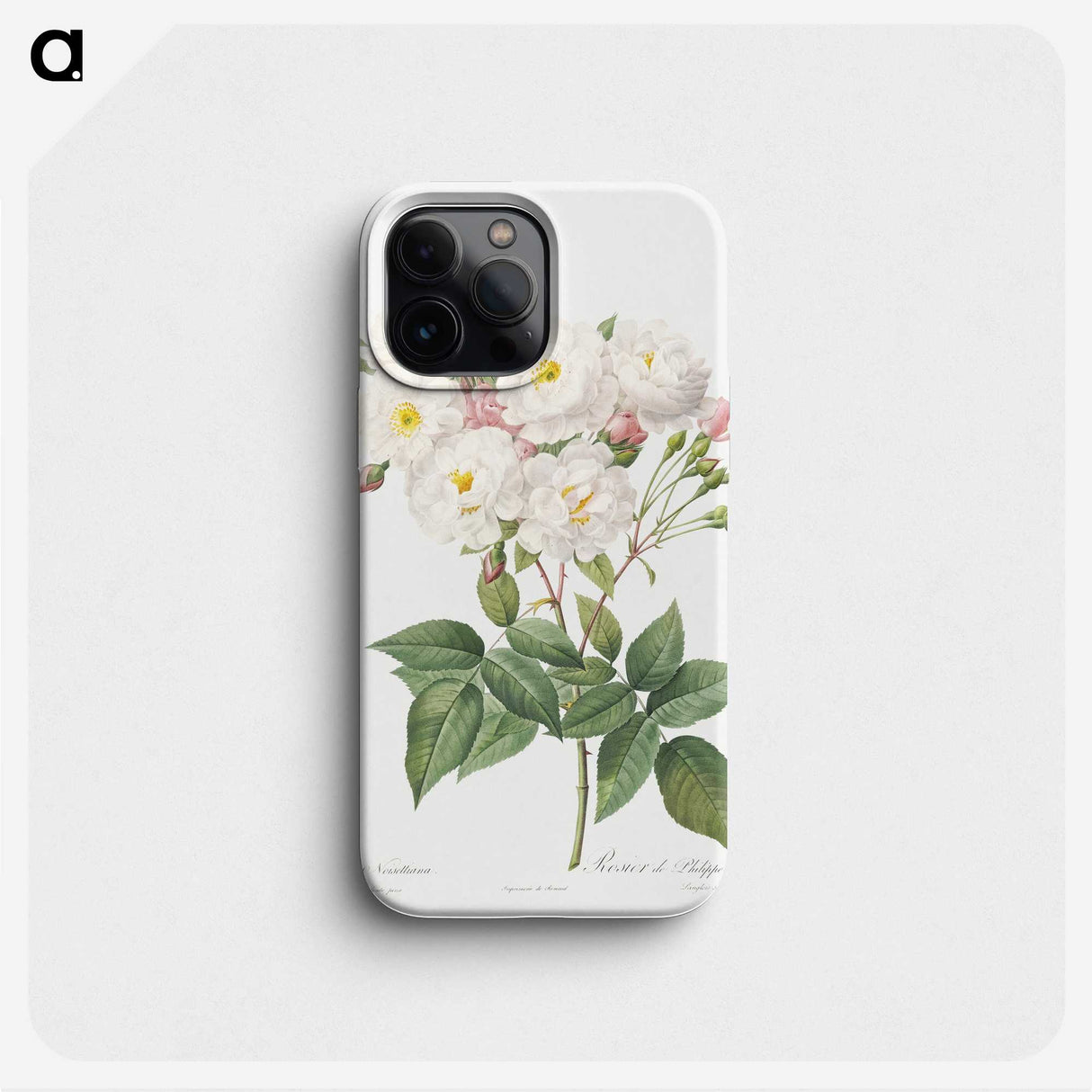 1-74_Pierre-Joseph-Redoute_phone