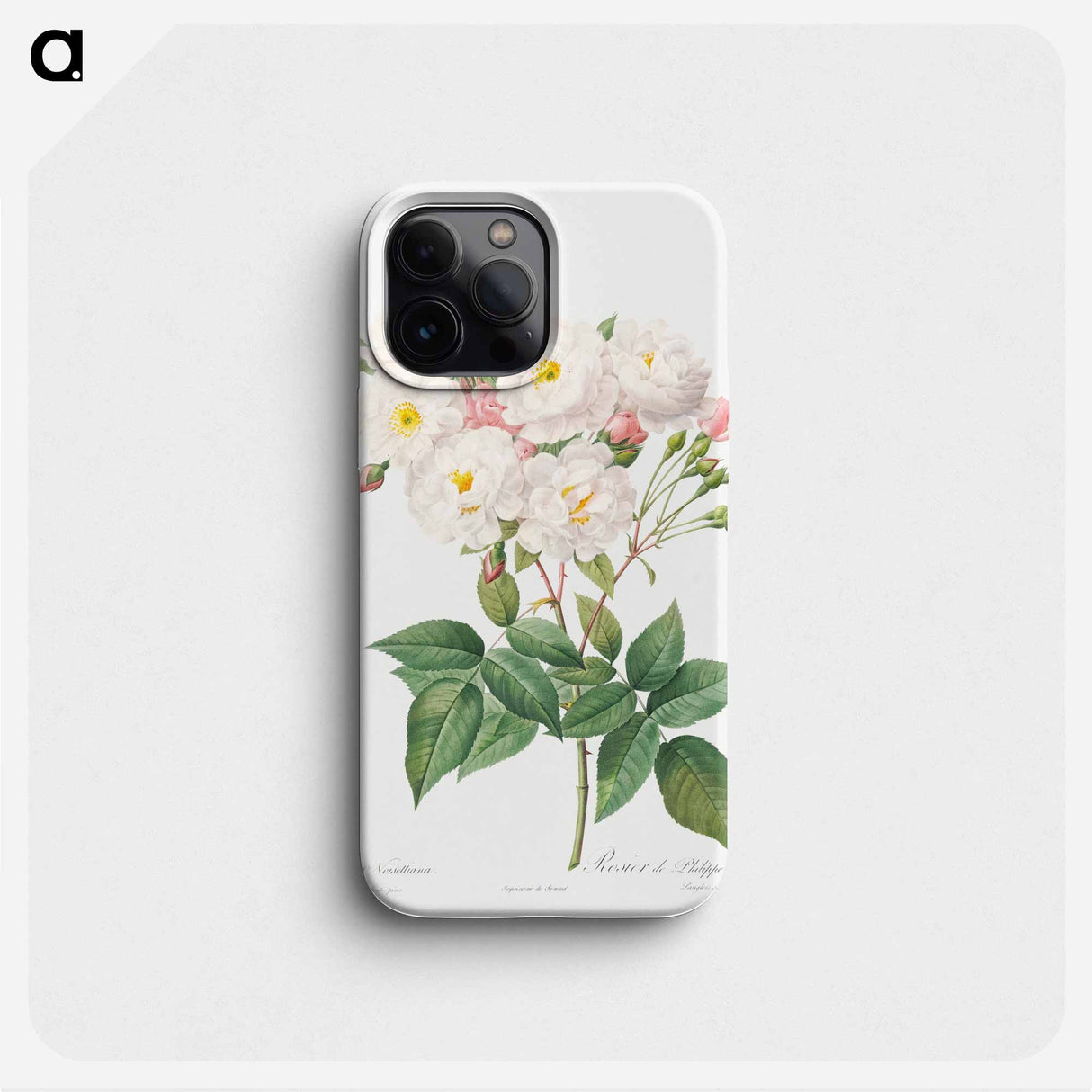 Rosa x noisettiana - Pierre Joseph Redouté Phone Case.