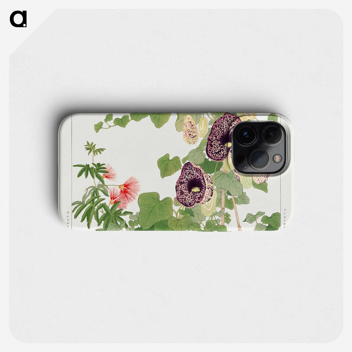 1-74_Seiyo-Soka-Zufu_phone
