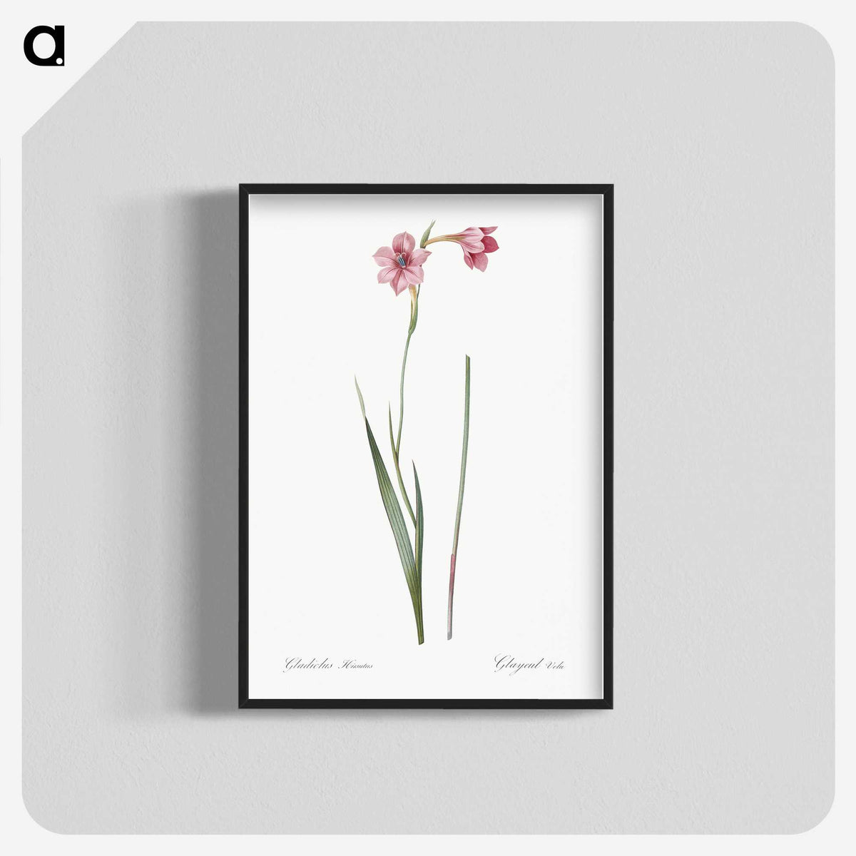 1-74_The-Lilies_blk-crop