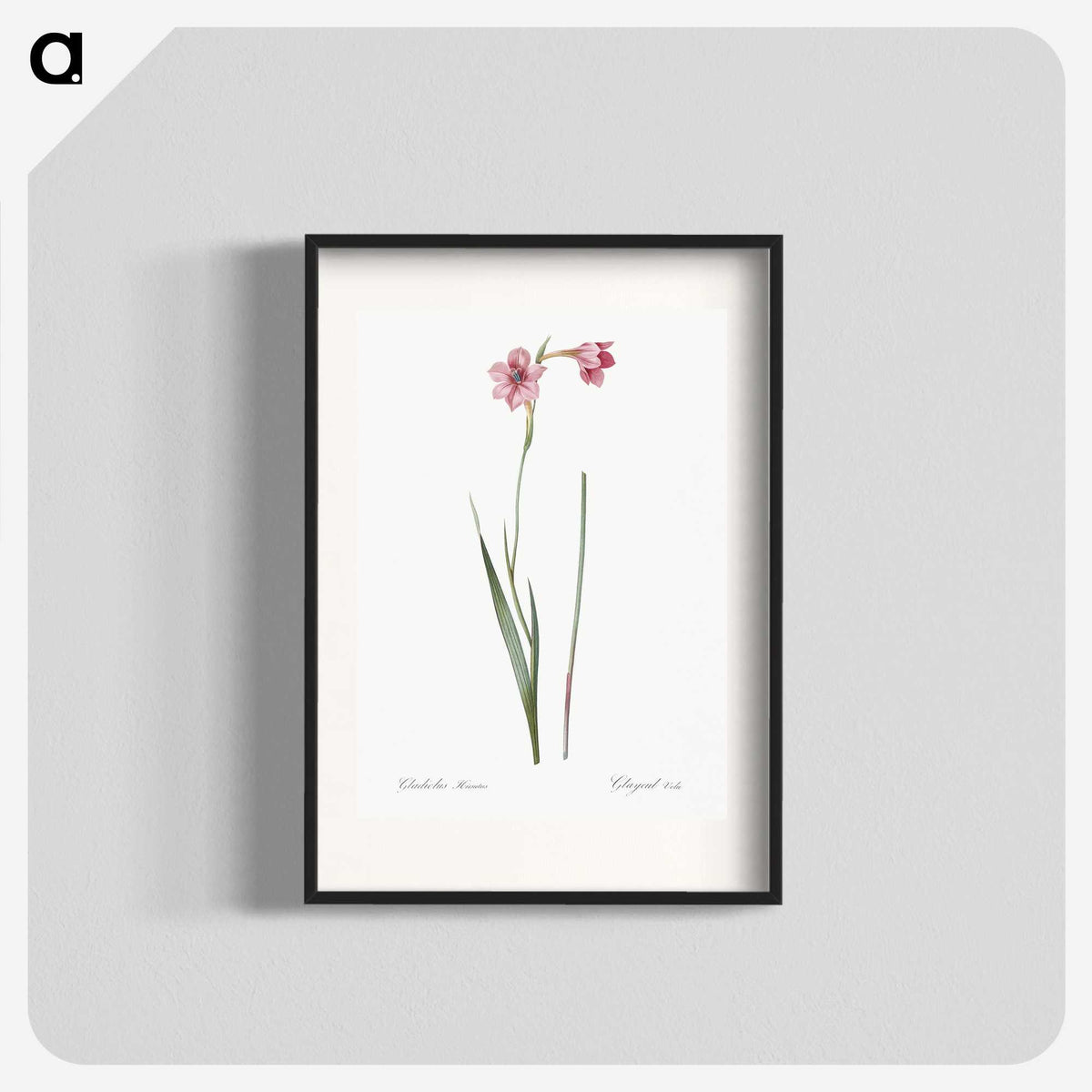1-74_The-Lilies_blk