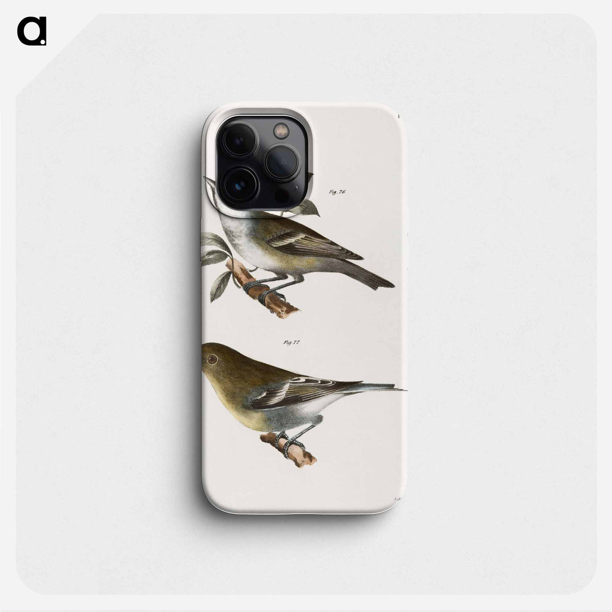 The Solitary Greenlet (Vireo solitarius) The Yellow-throated Greenlet (Vireo flavifrons) - ニューヨークの動物学 Phone Case.