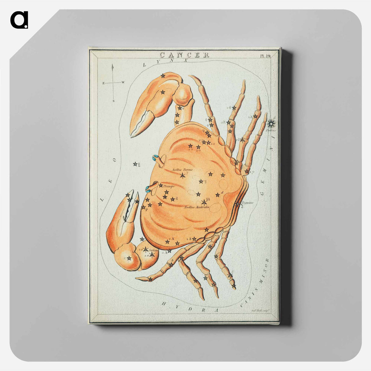 Sidney Hall’s astronomical chart illustration of the cancer zodiac - アンティーク地図 Canvas.