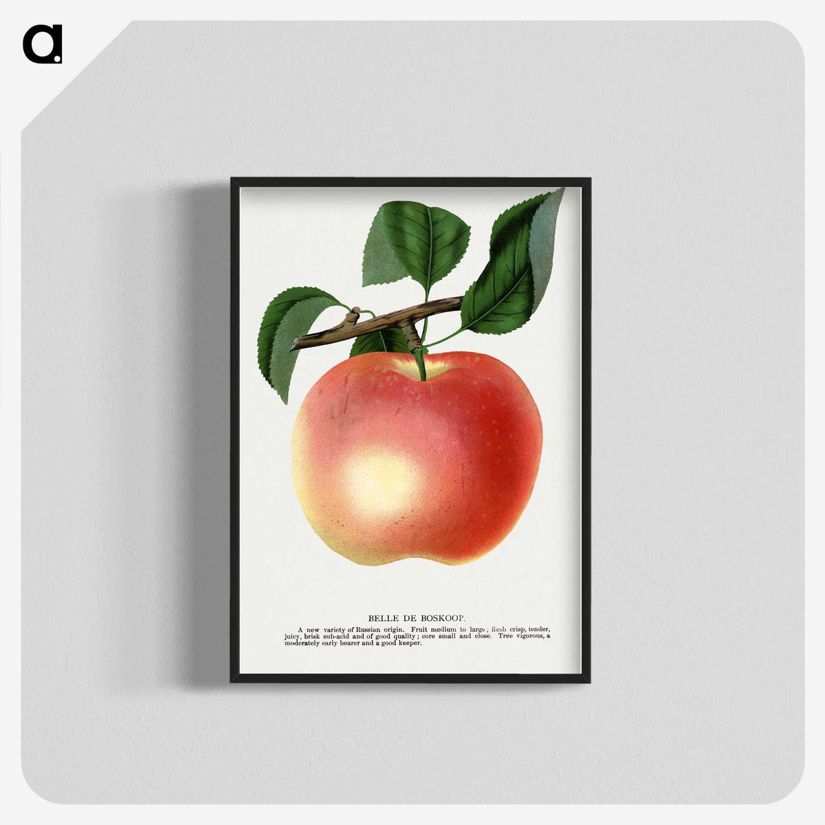 1-75_Botanical-Specimen-Plates_blk-crop