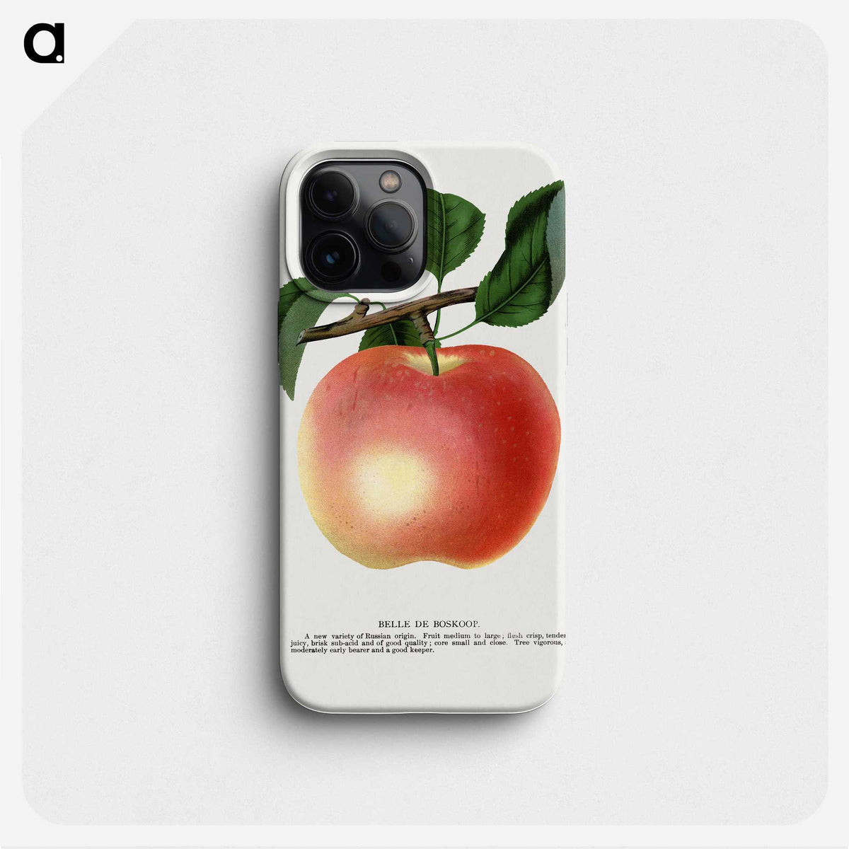 1-75_Botanical-Specimen-Plates_phone