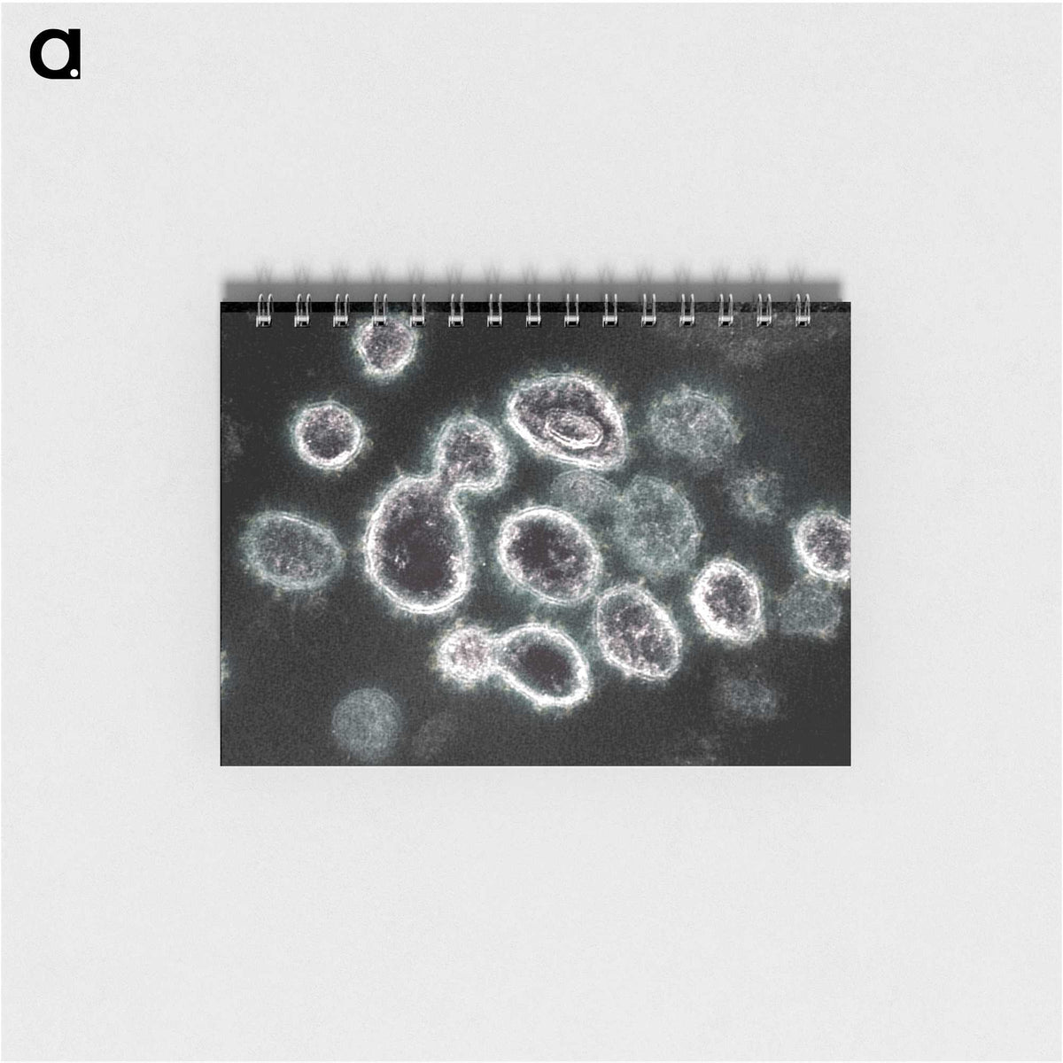 1-75_COVID-19_memo