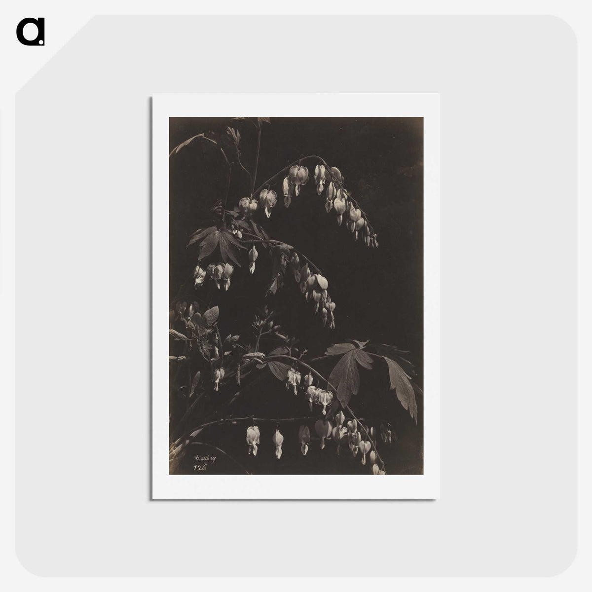 1-75_Cleveland-Museum-of-Art_hagaki