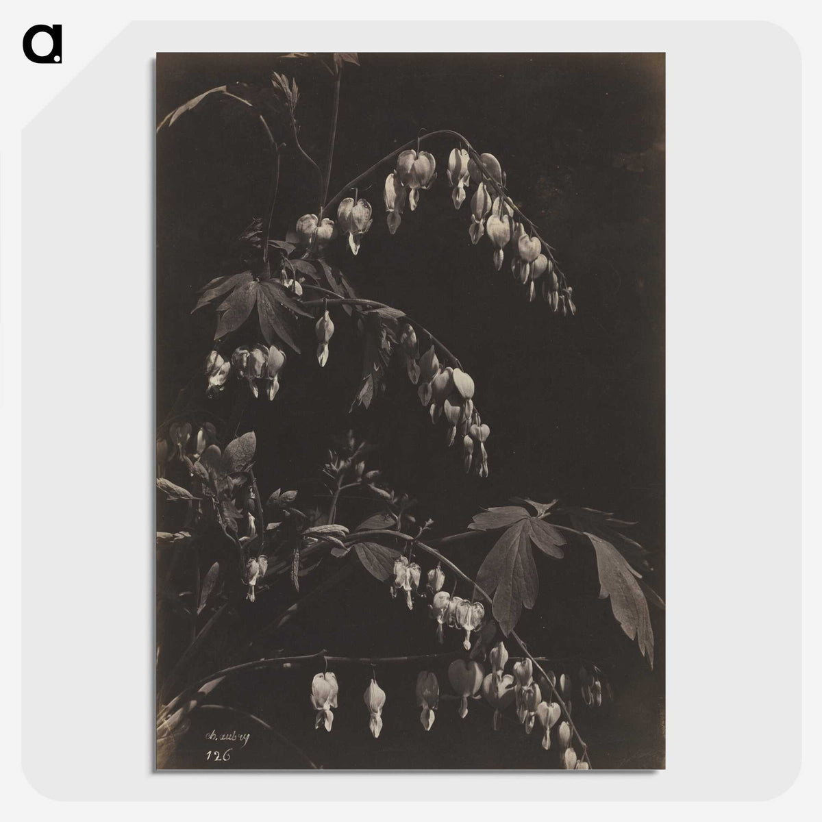 1-75_Cleveland-Museum-of-Art_picture-crop