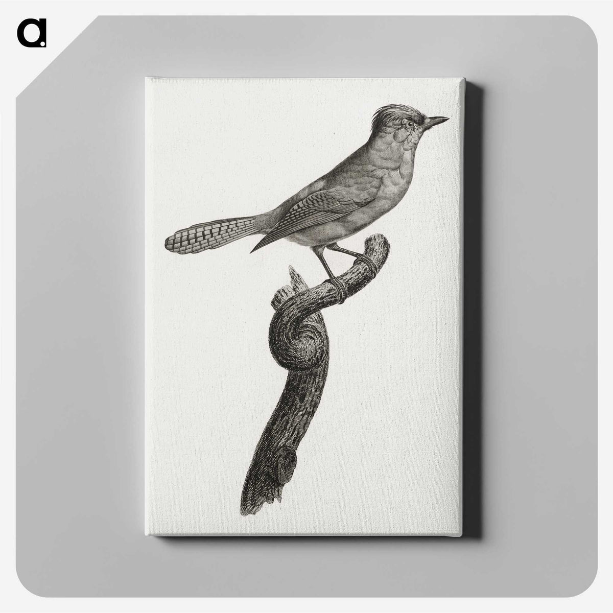 1-75_Des-Oiseaux-de-Paradis_canvas