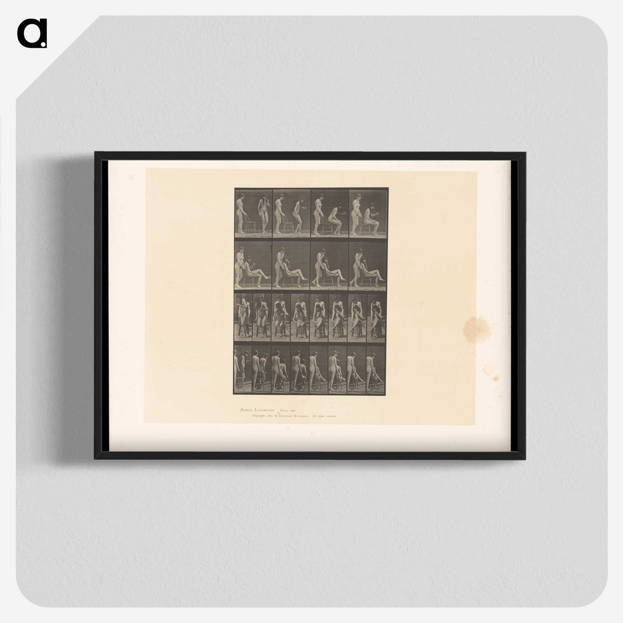 1-75_Eadweard-Muybridge_blk-crop