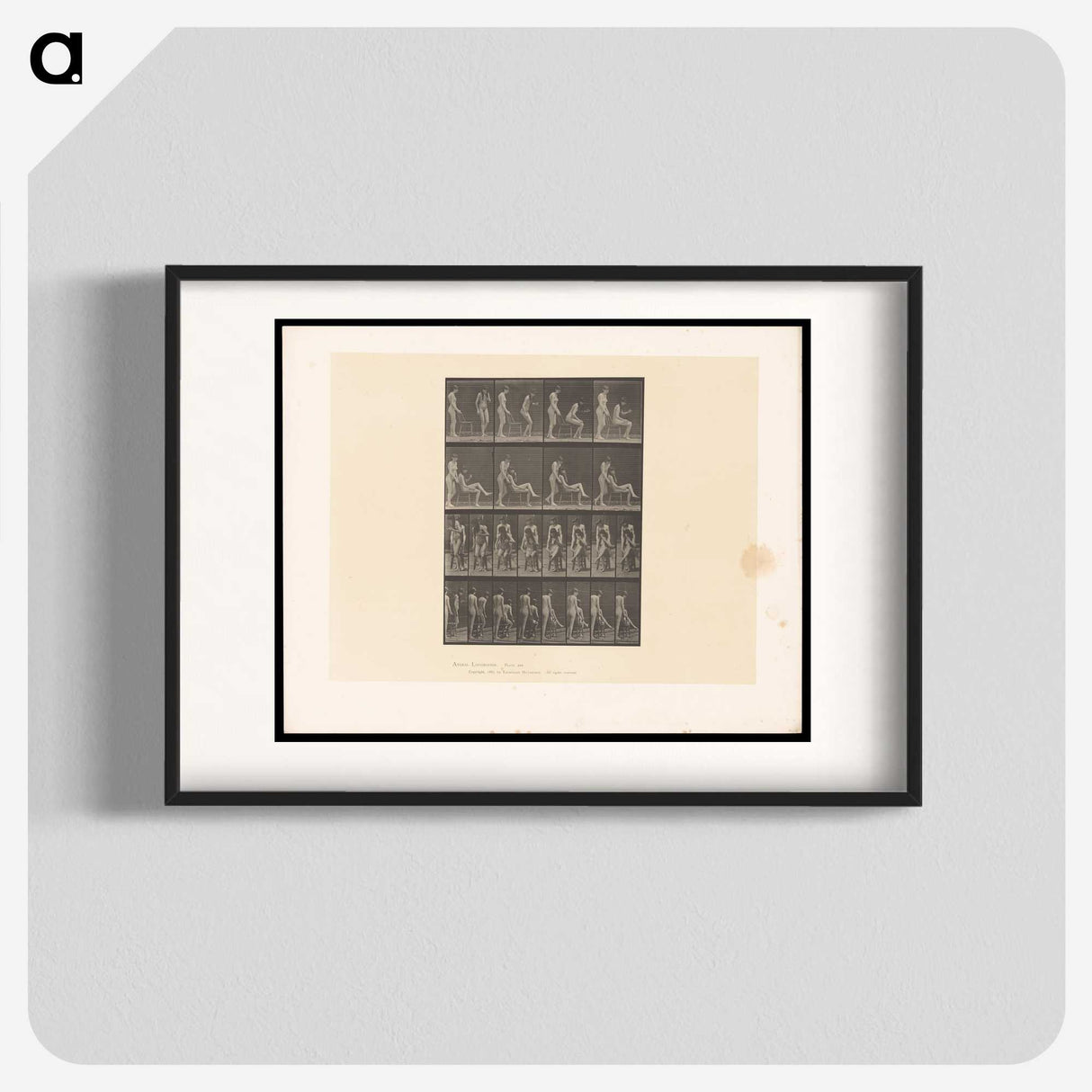1-75_Eadweard-Muybridge_blk