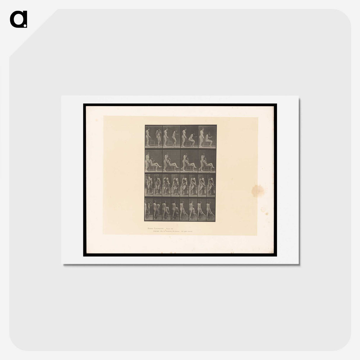 1-75_Eadweard-Muybridge_hagaki
