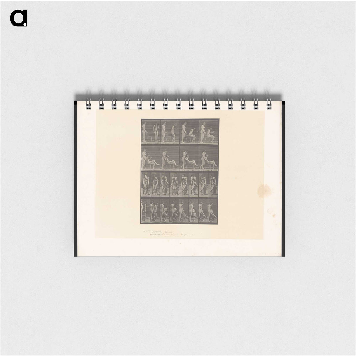 1-75_Eadweard-Muybridge_memo