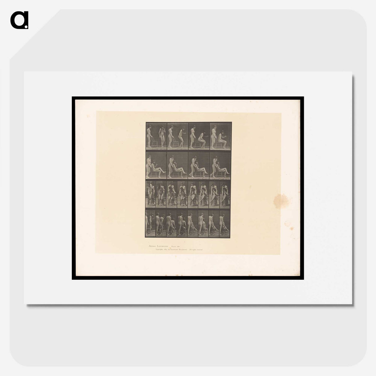 1-75_Eadweard-Muybridge_picture