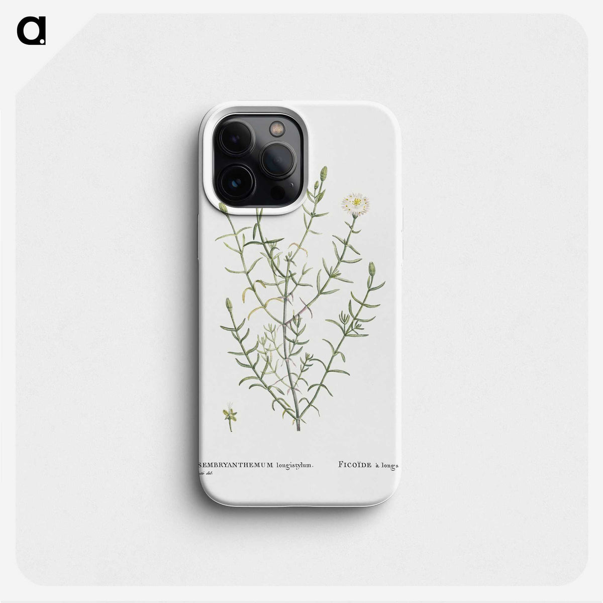 1-75_Histoire-des-Plantes-Grasses_phone