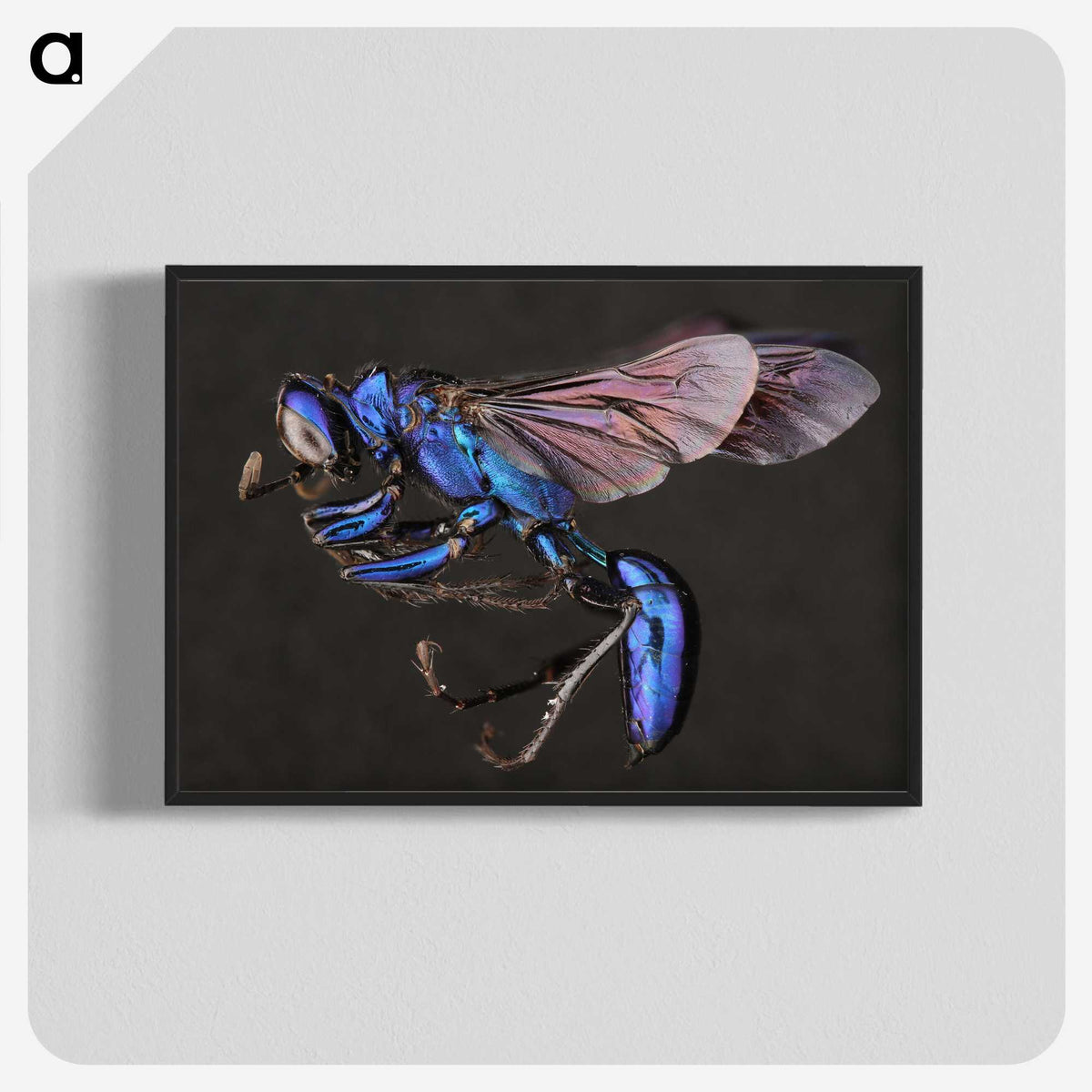 1-75_Insects-Unlocked-Project_blk-crop