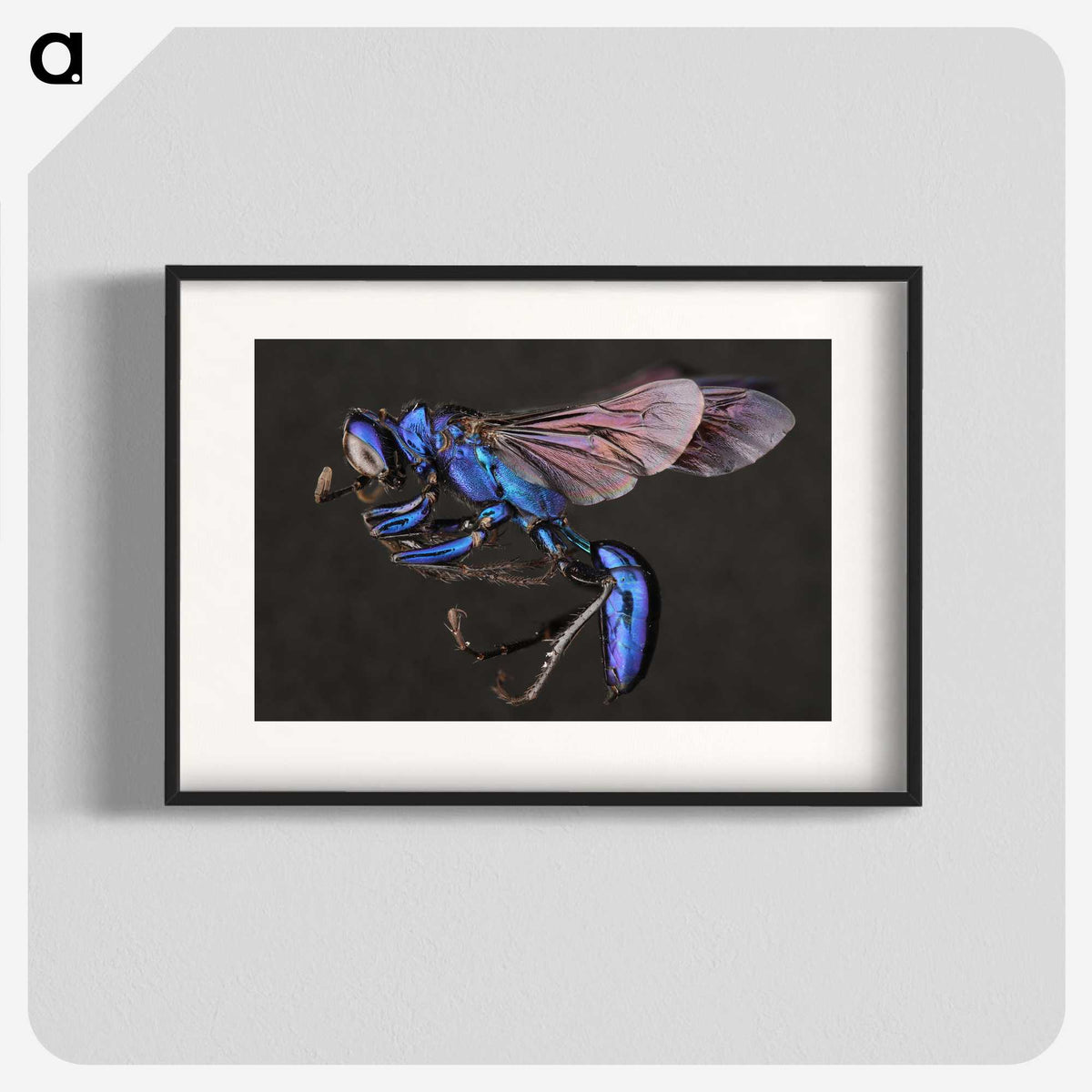 1-75_Insects-Unlocked-Project_blk