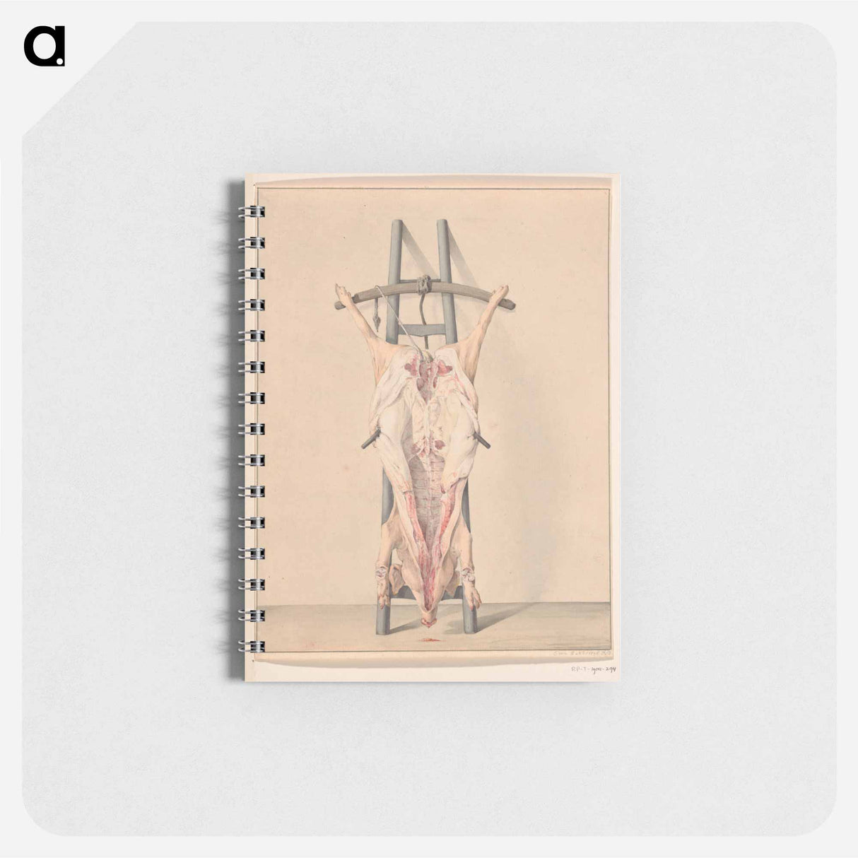 Geslacht varken - ジャン ベルナール Memo.