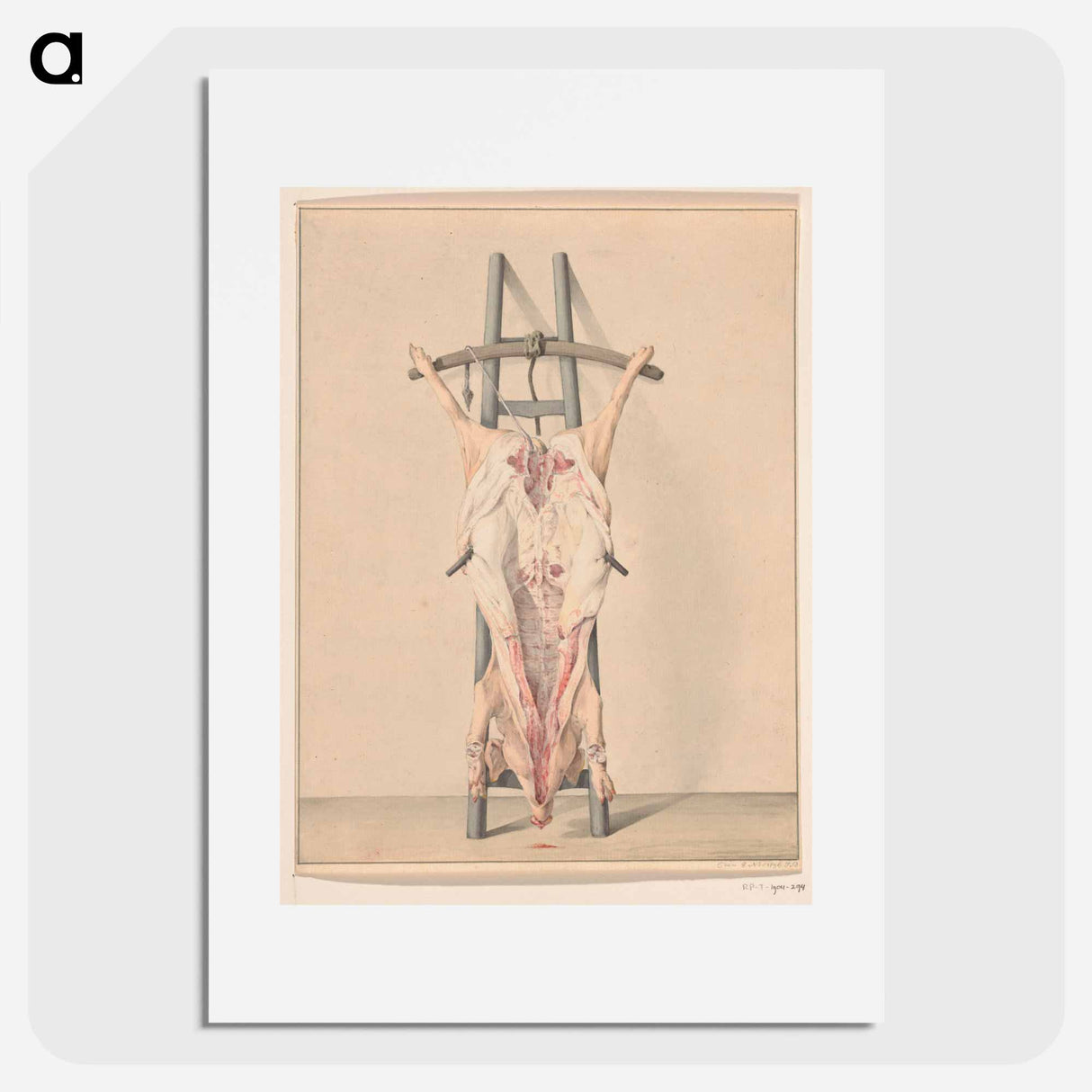 Geslacht varken - ジャン ベルナール Poster.