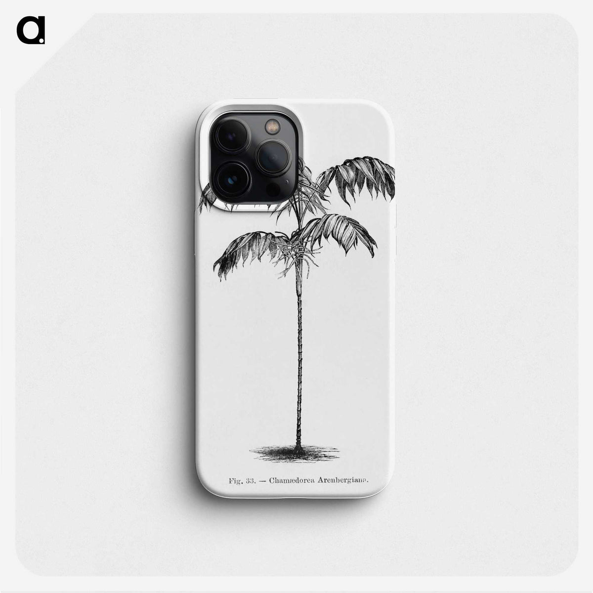 1-75_Les-Palmiers-Histoire-Iconographique_phone