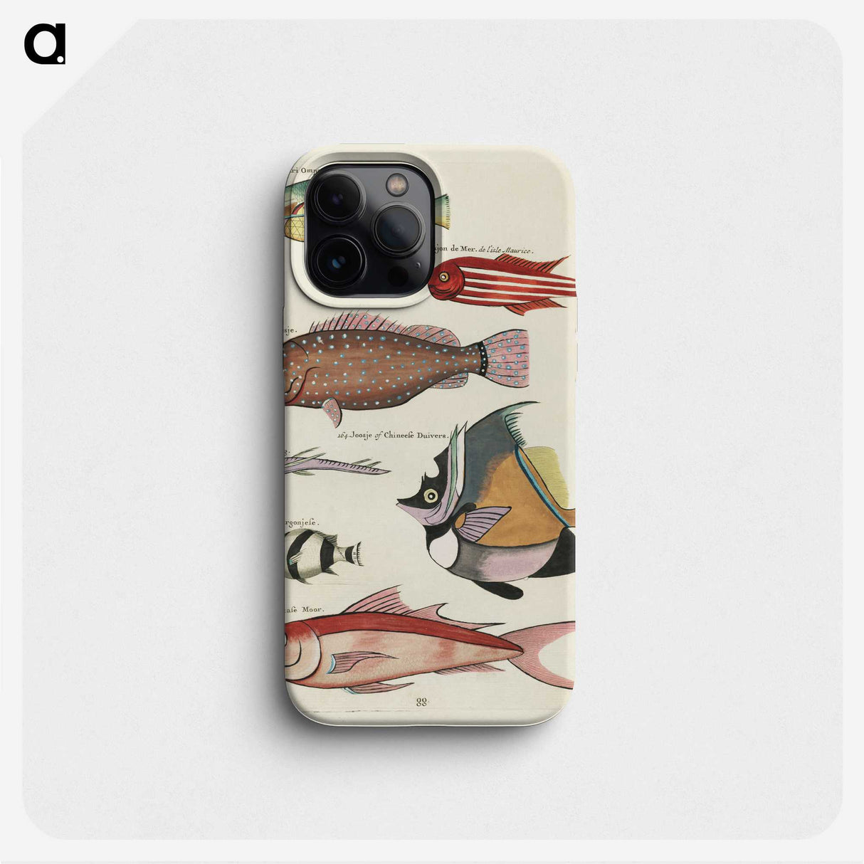 1-75_Louis-Renard_phone