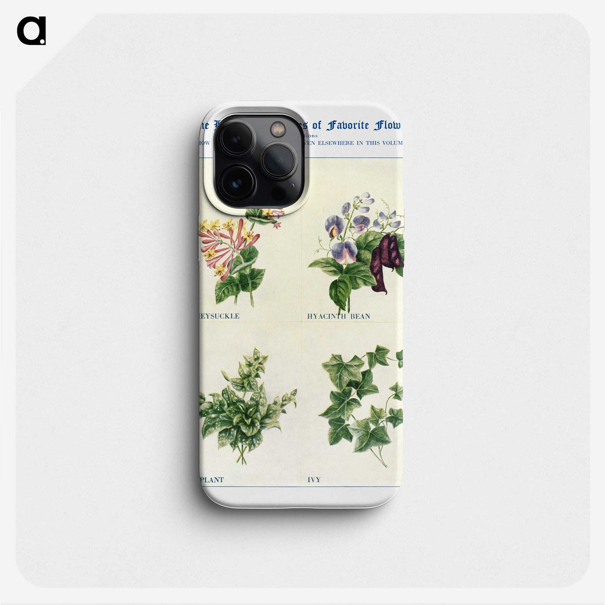 1-75_The-Open-Door-to-Independence_phone