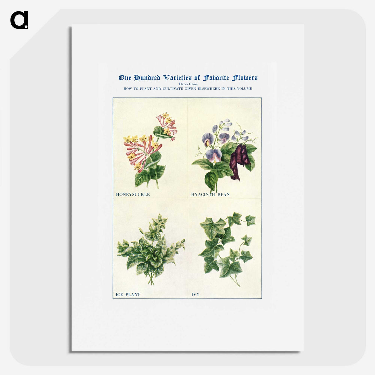 1-75_The-Open-Door-to-Independence_picture