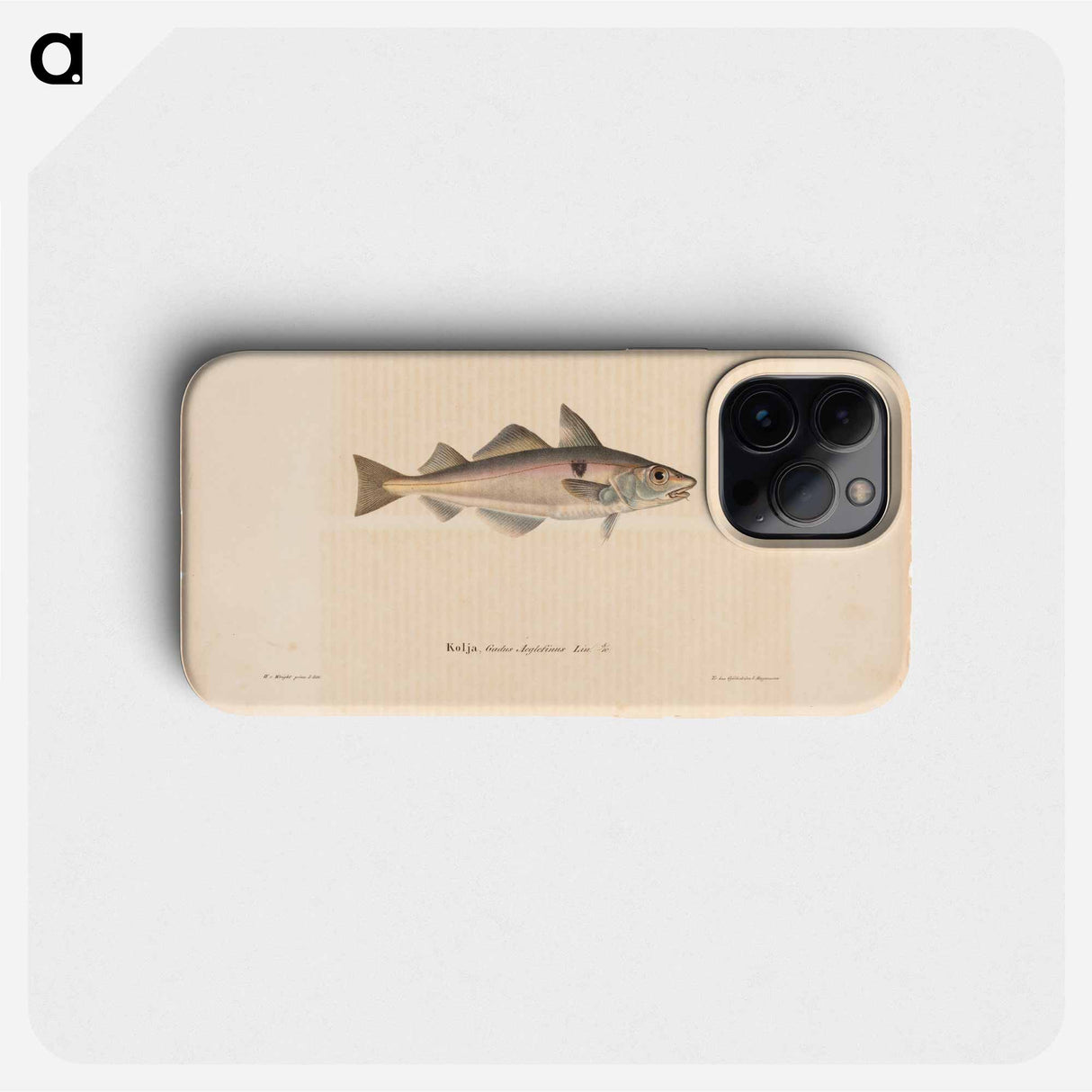 Haddock - Wilhelm von Wright Phone Case.
