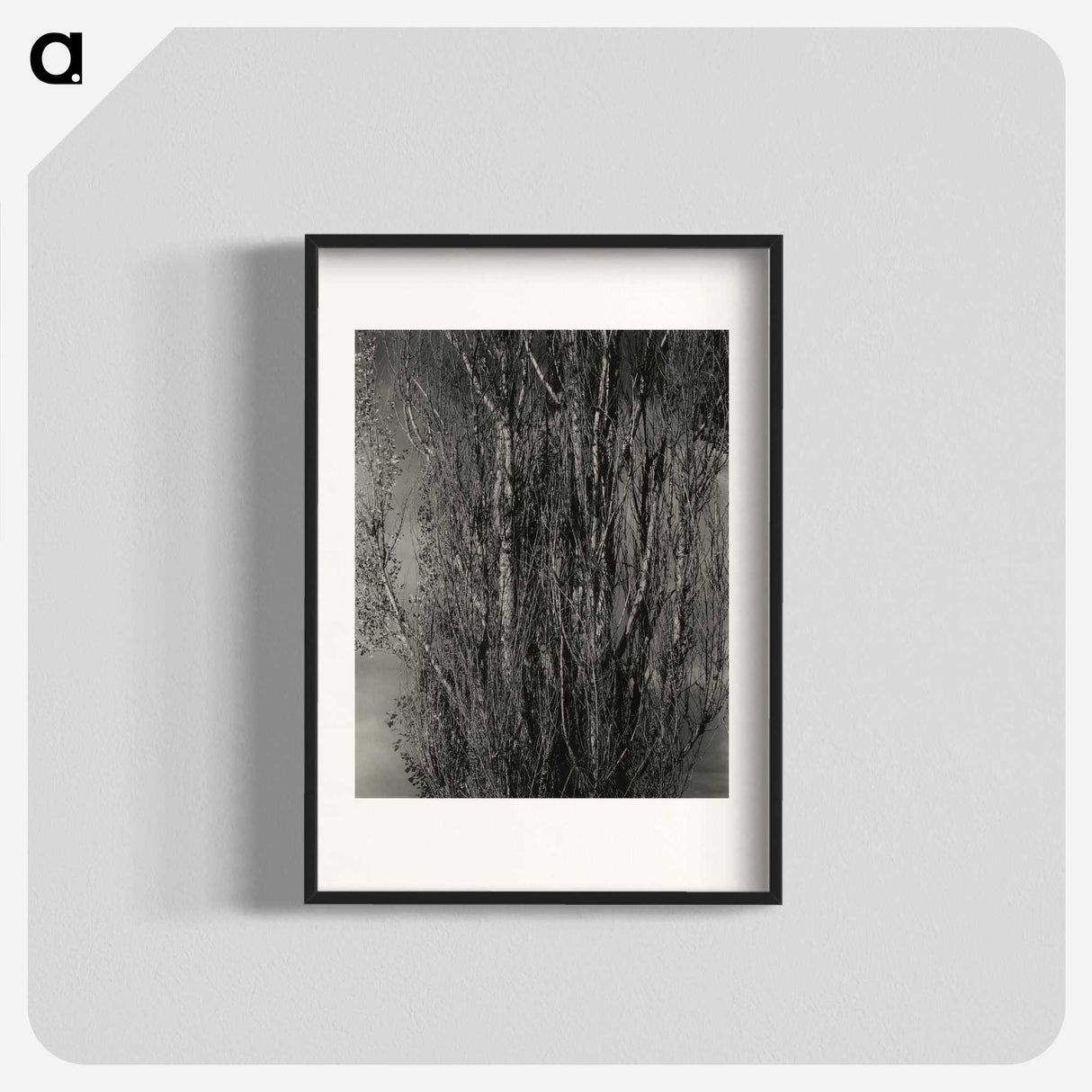 1-76_Alfred-Stieglitz_blk