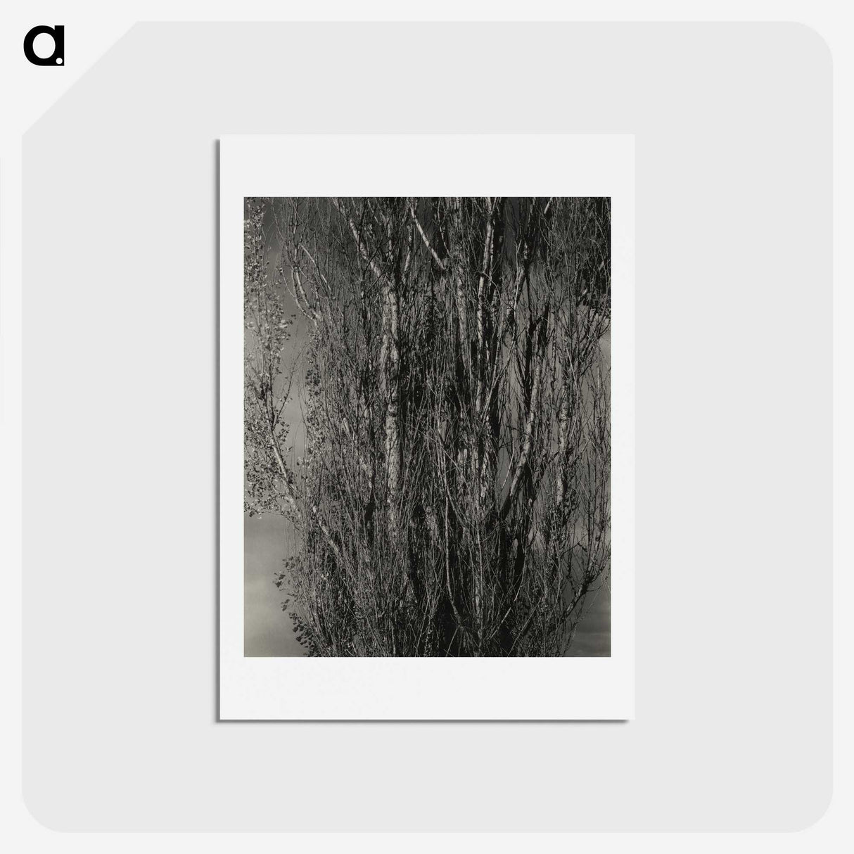 1-76_Alfred-Stieglitz_hagaki