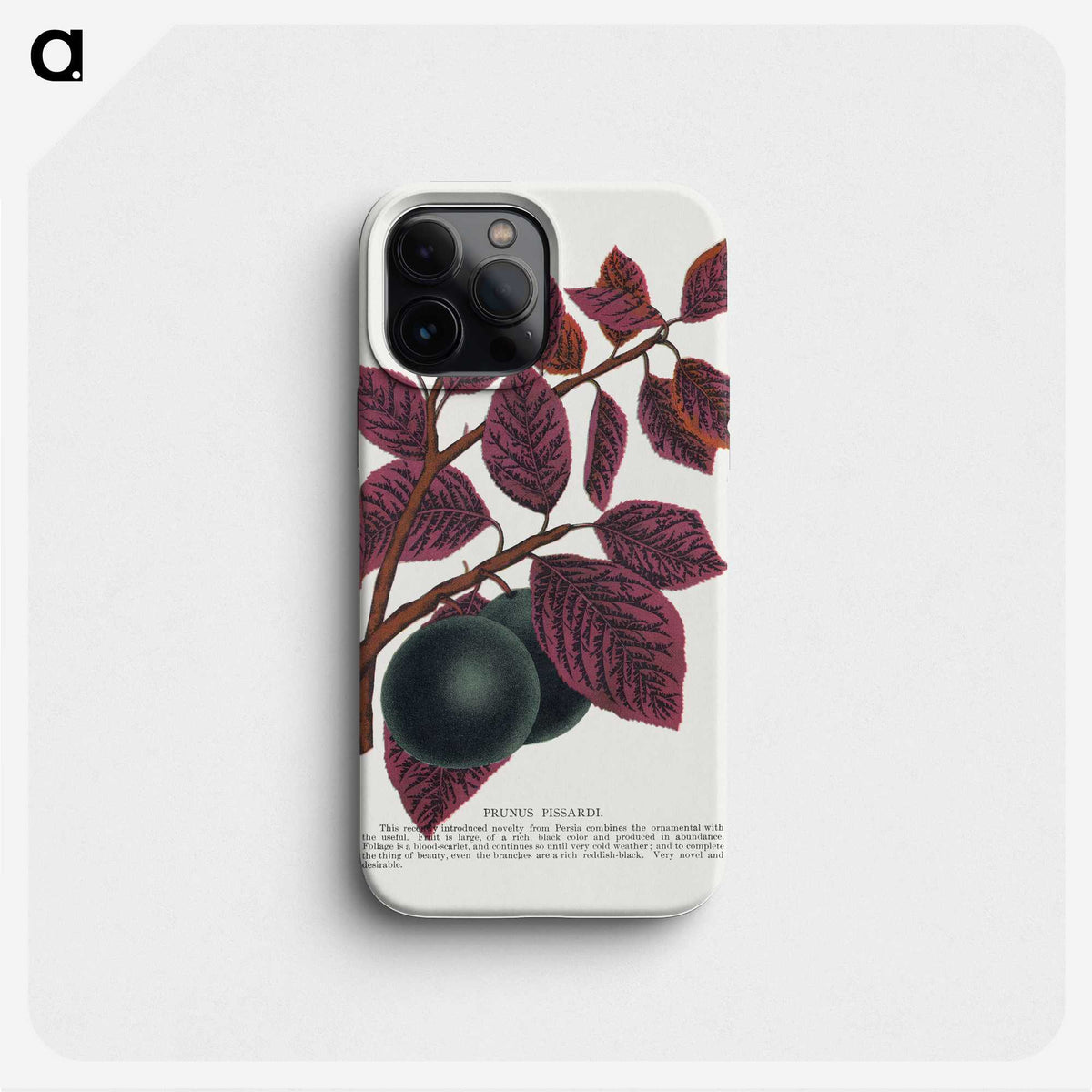 1-76_Botanical-Specimen-Plates_phone