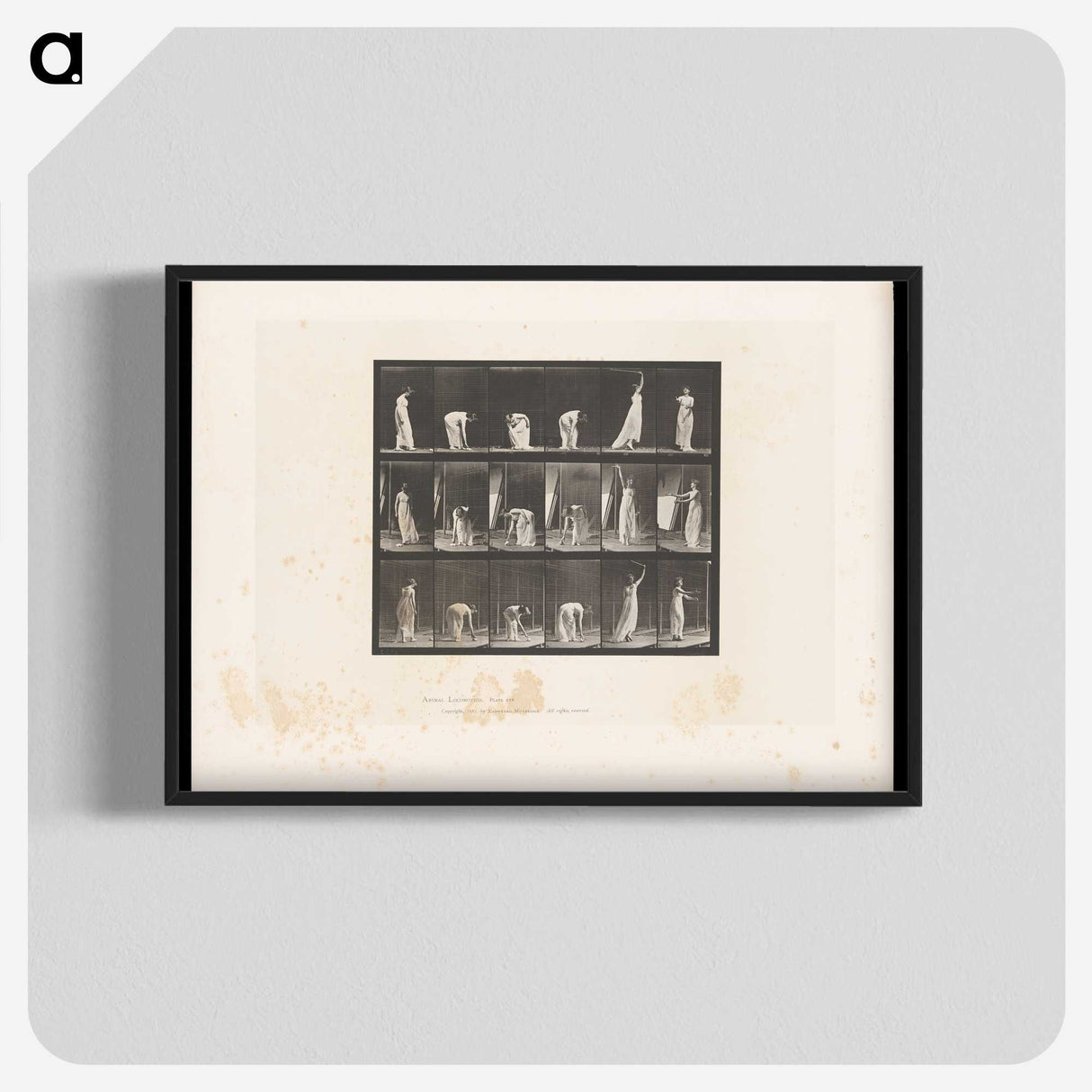 1-76_Eadweard-Muybridge_blk-crop