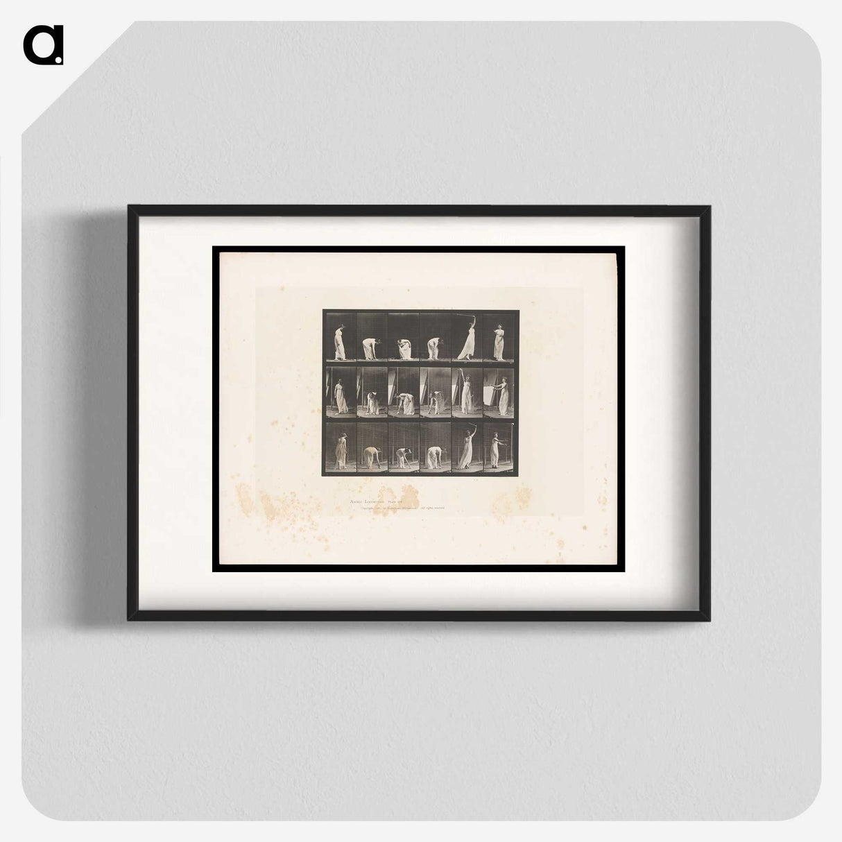 1-76_Eadweard-Muybridge_blk