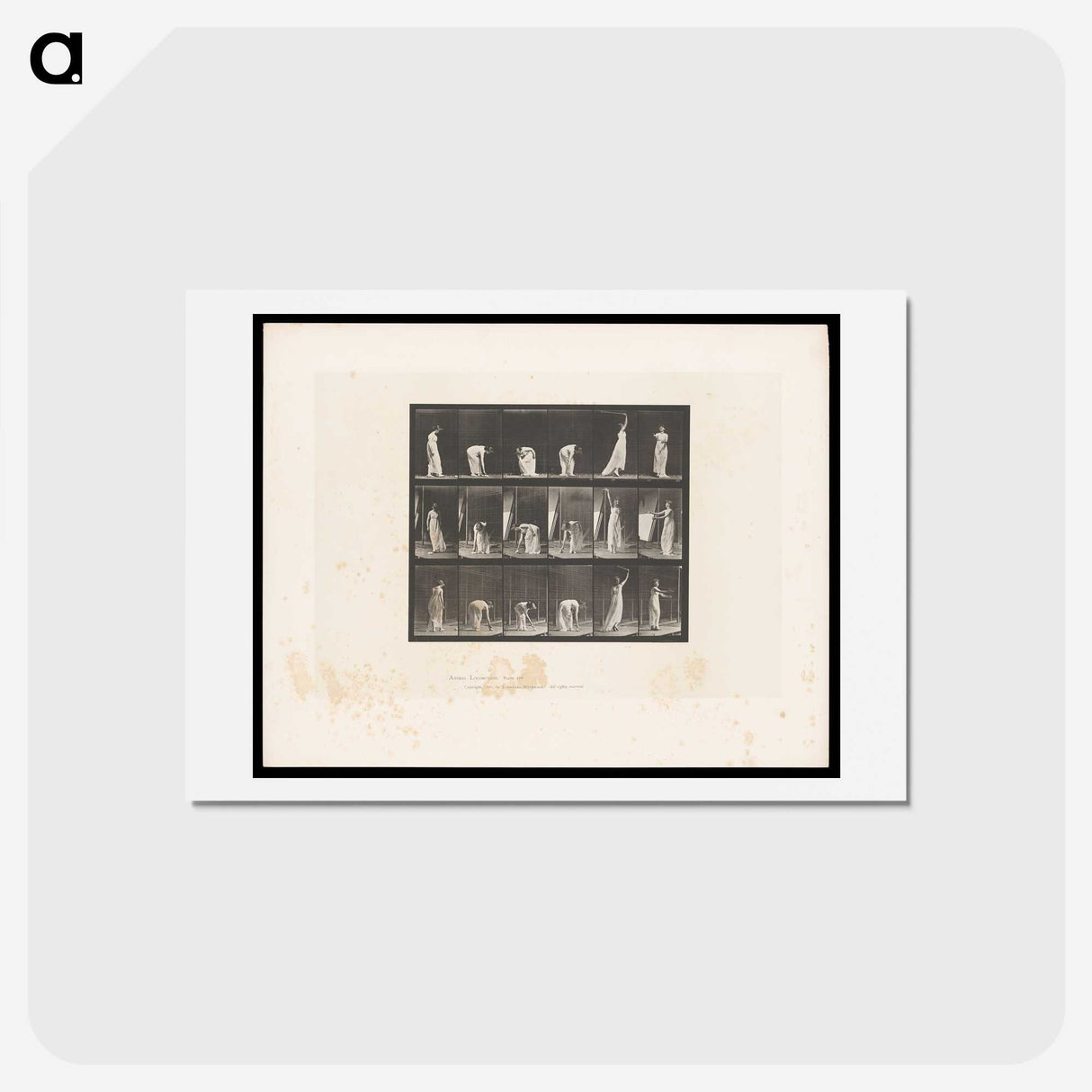 1-76_Eadweard-Muybridge_hagaki