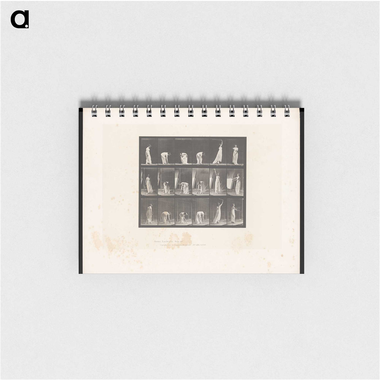 1-76_Eadweard-Muybridge_memo