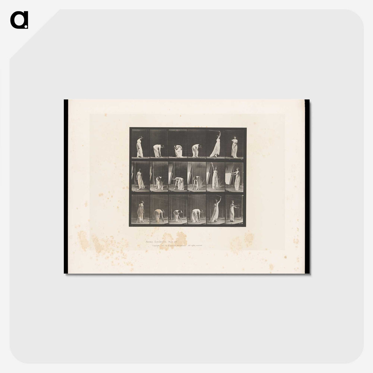 1-76_Eadweard-Muybridge_postcard