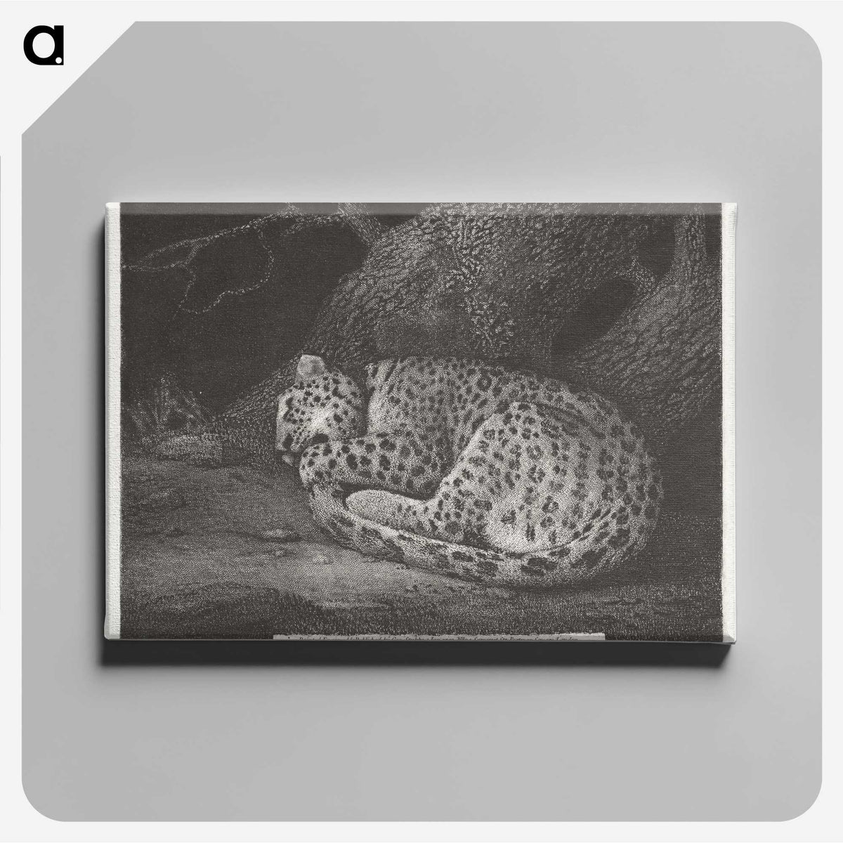 1-76_George-Stubbs_canvas