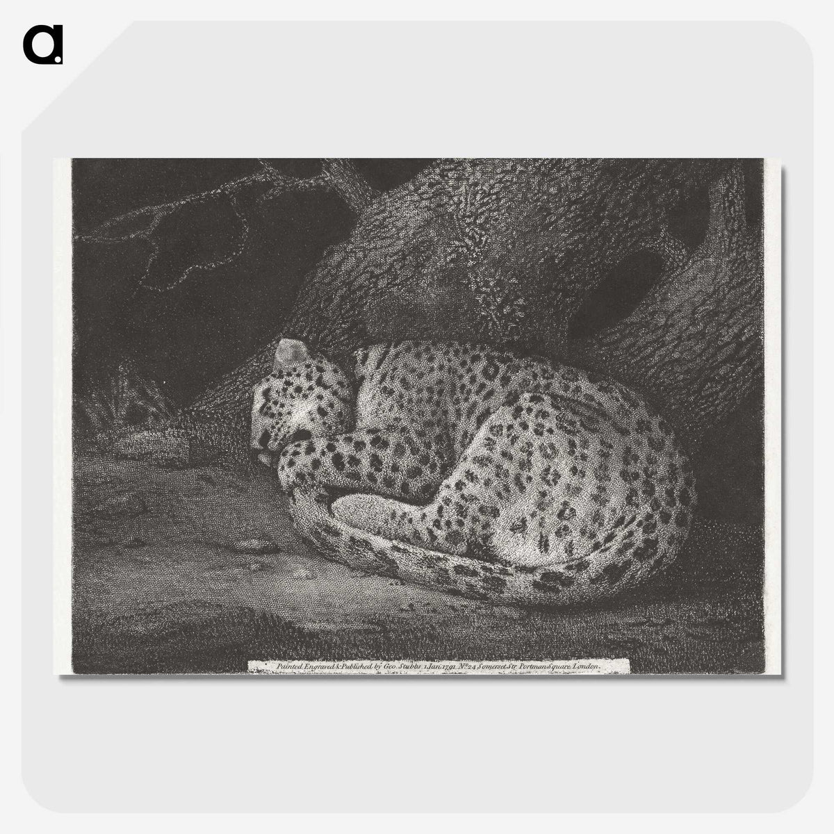1-76_George-Stubbs_picture-crop