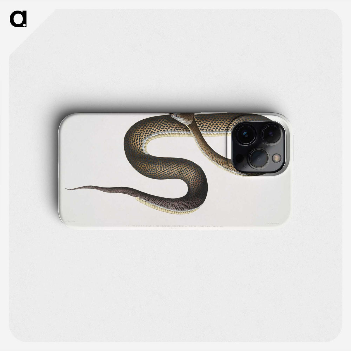 1-76_Indian-Zoology_phone