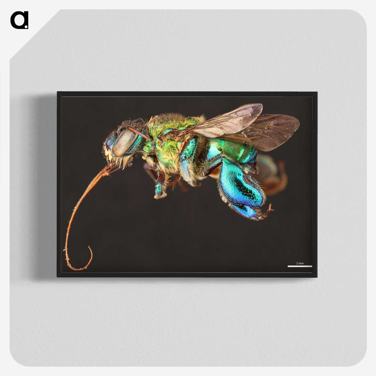 1-76_Insects-Unlocked-Project_blk-crop