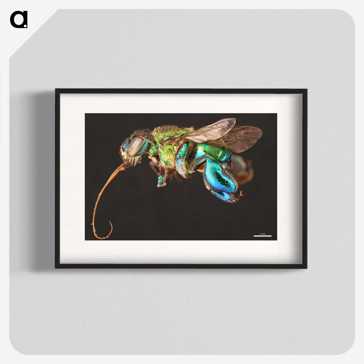 1-76_Insects-Unlocked-Project_blk
