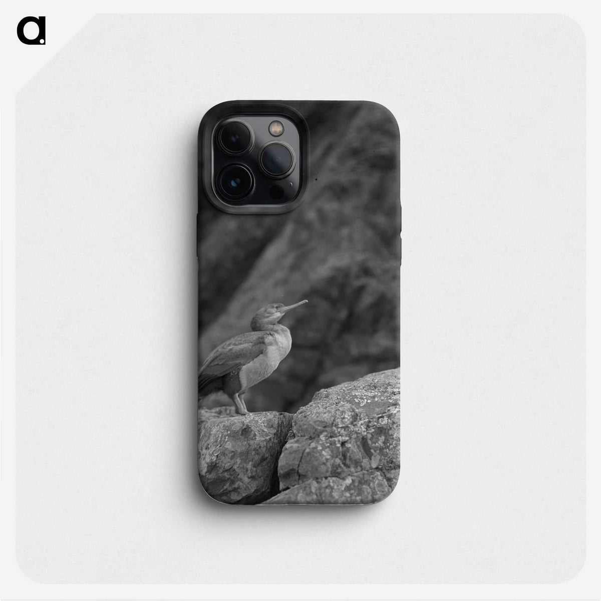 1-76_James-Walter-Chapman-Taylor_phone