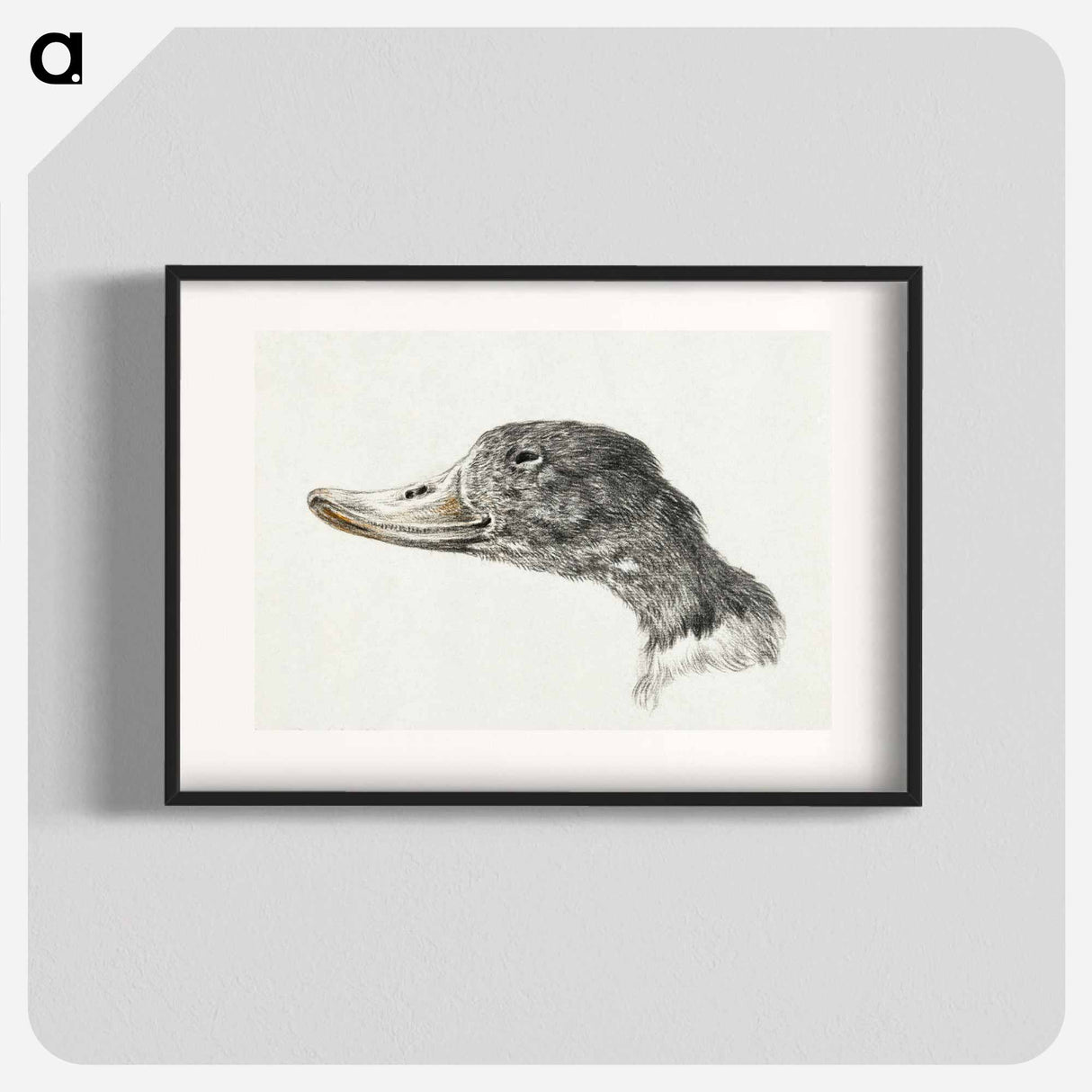 Head of a shelduck - ジャン ベルナール Poster.