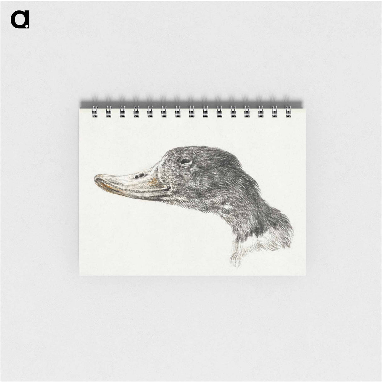 Head of a shelduck - ジャン ベルナール Memo.