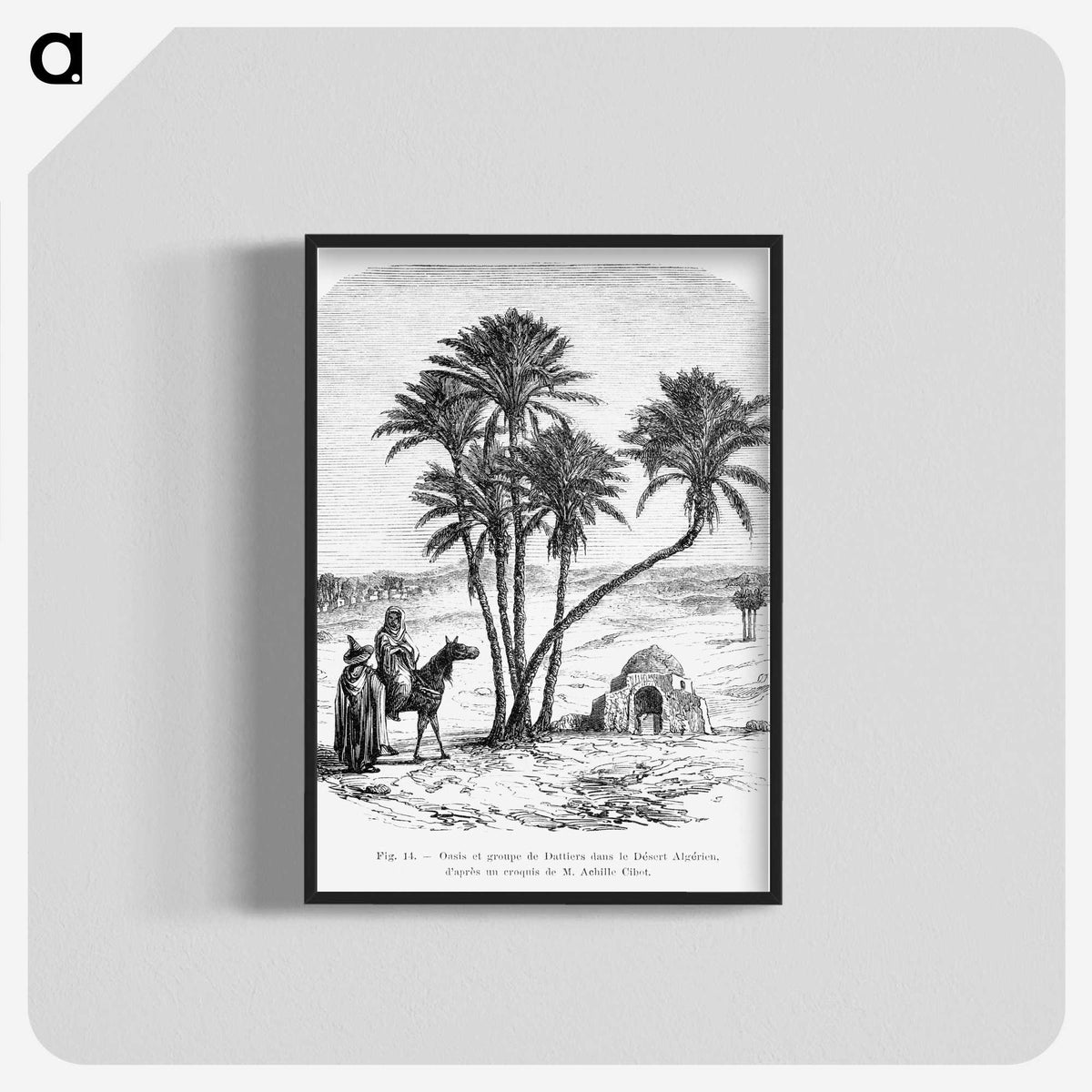 1-76_Les-Palmiers-Histoire-Iconographique_blk-crop