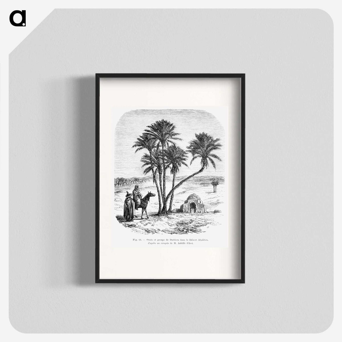 1-76_Les-Palmiers-Histoire-Iconographique_blk