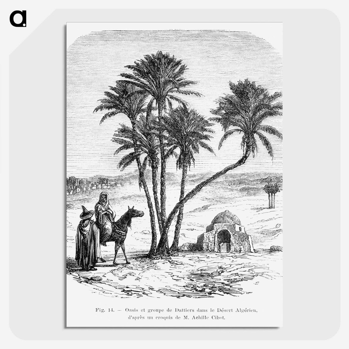 1-76_Les-Palmiers-Histoire-Iconographique_picture-crop