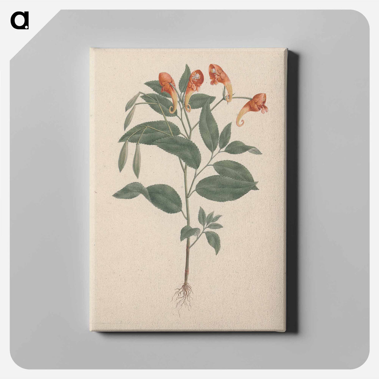 アートパネル-Impatiens rothii
- ルイージ バルガーニ Canvas.