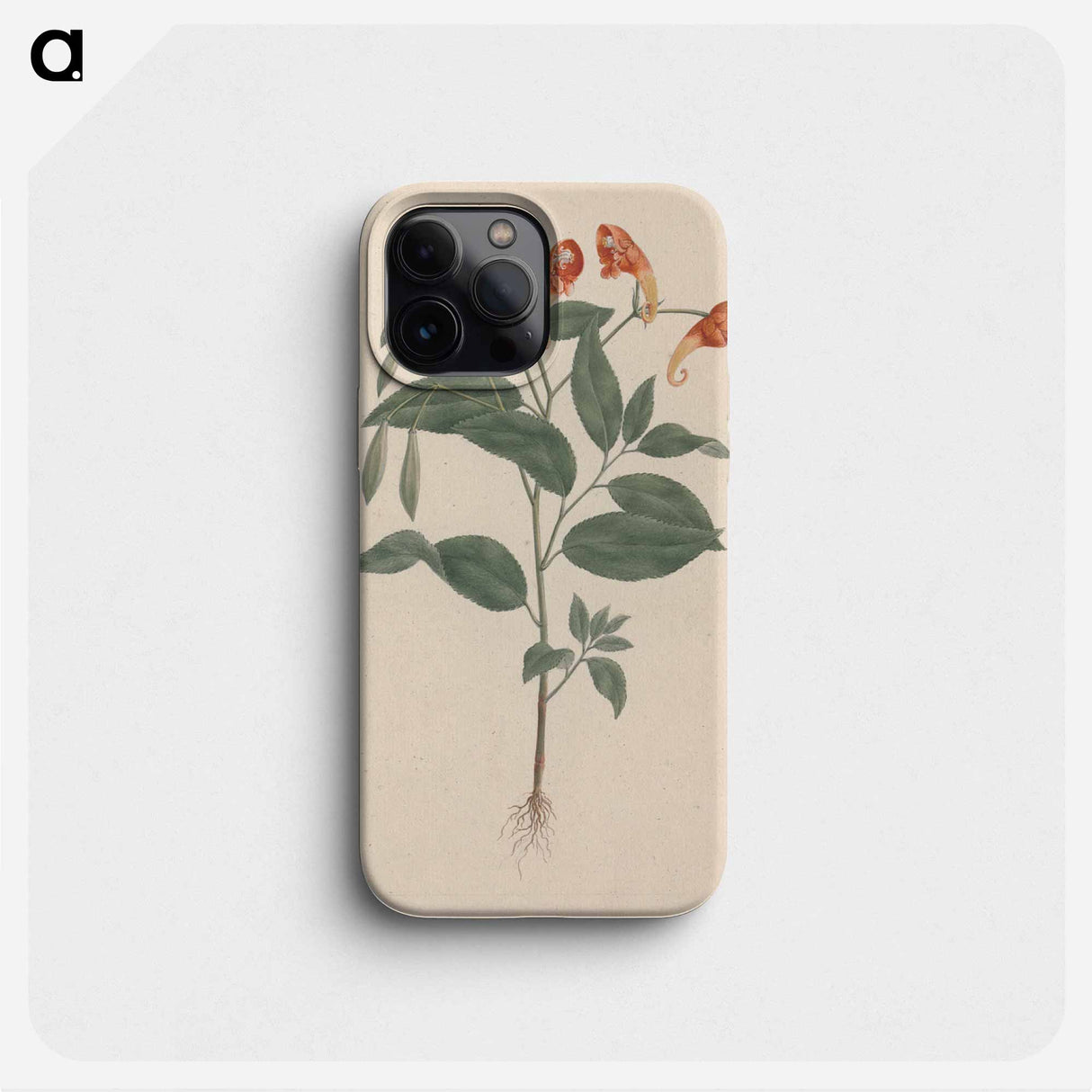 Impatiens rothii
- ルイージ バルガーニ Phone Case.
