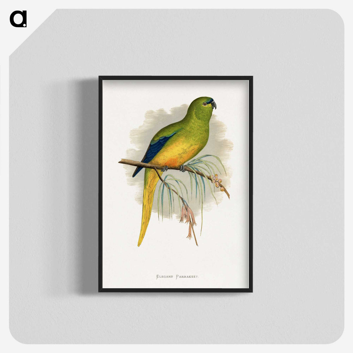 1-76_Parrots-in-Captivity_blk-crop